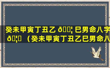 癸未甲寅丁丑乙 🐦 巳男命八字 🦅 （癸未甲寅丁丑乙巳男命八字怎么样）